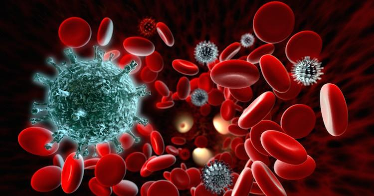 Иммунитет может защищать раковые клетки: исследование ученых