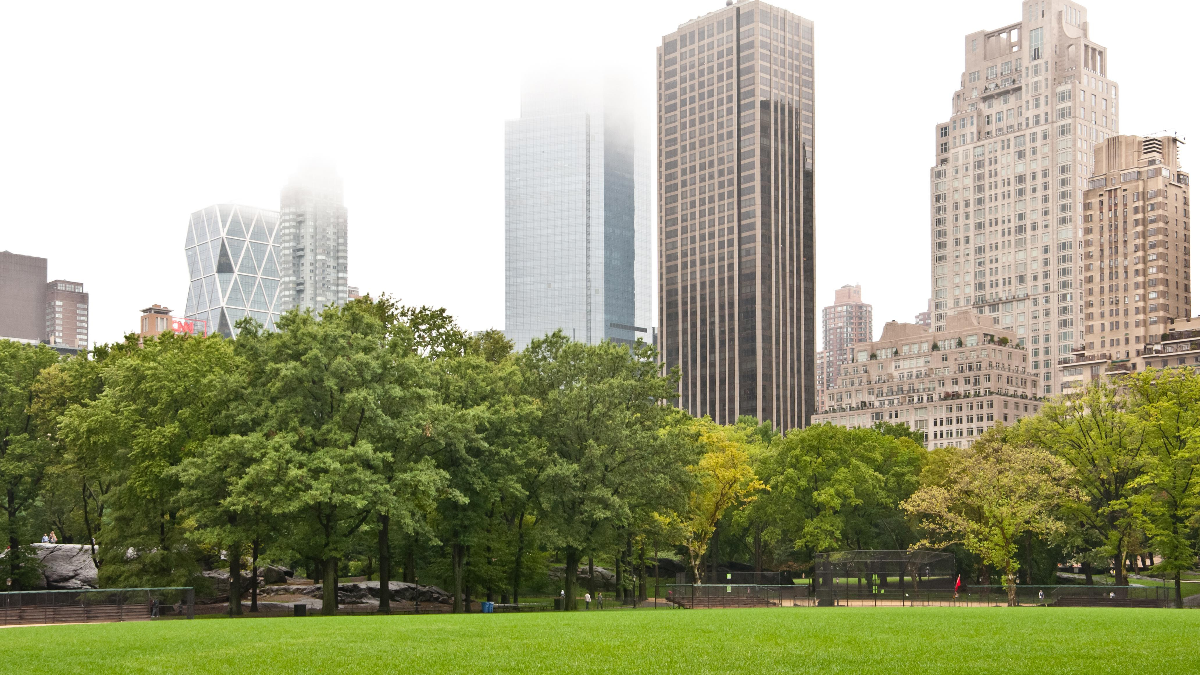 Какой незначительный фактор уменьшает риск сердечно-сосудистых заболеваний