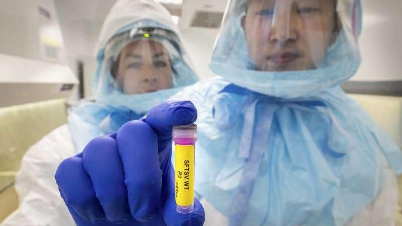 Вчені наблизилися до створення препарату від небезпечної хвороби Вчені наблизилися до створення препарату від небезпечної хвороби