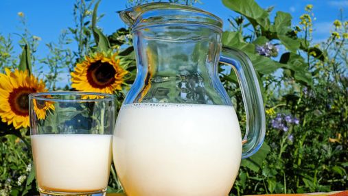 Какая польза от молочных продуктов и нужно ли взрослым пить молоко