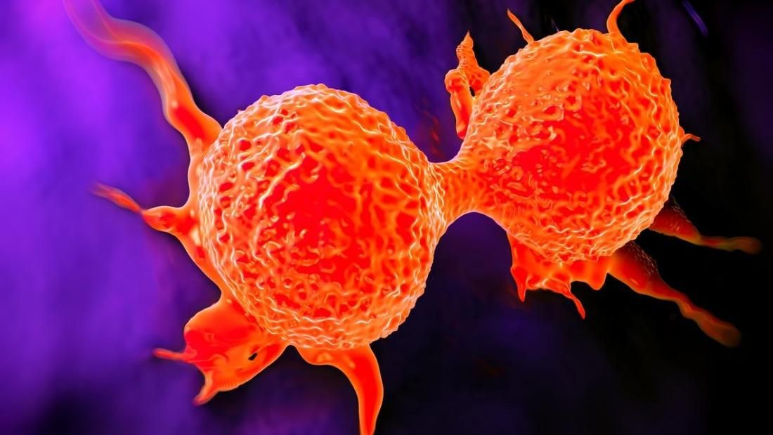 Вчені зупинили поширення раку, перетворивши онкоклітини на жир