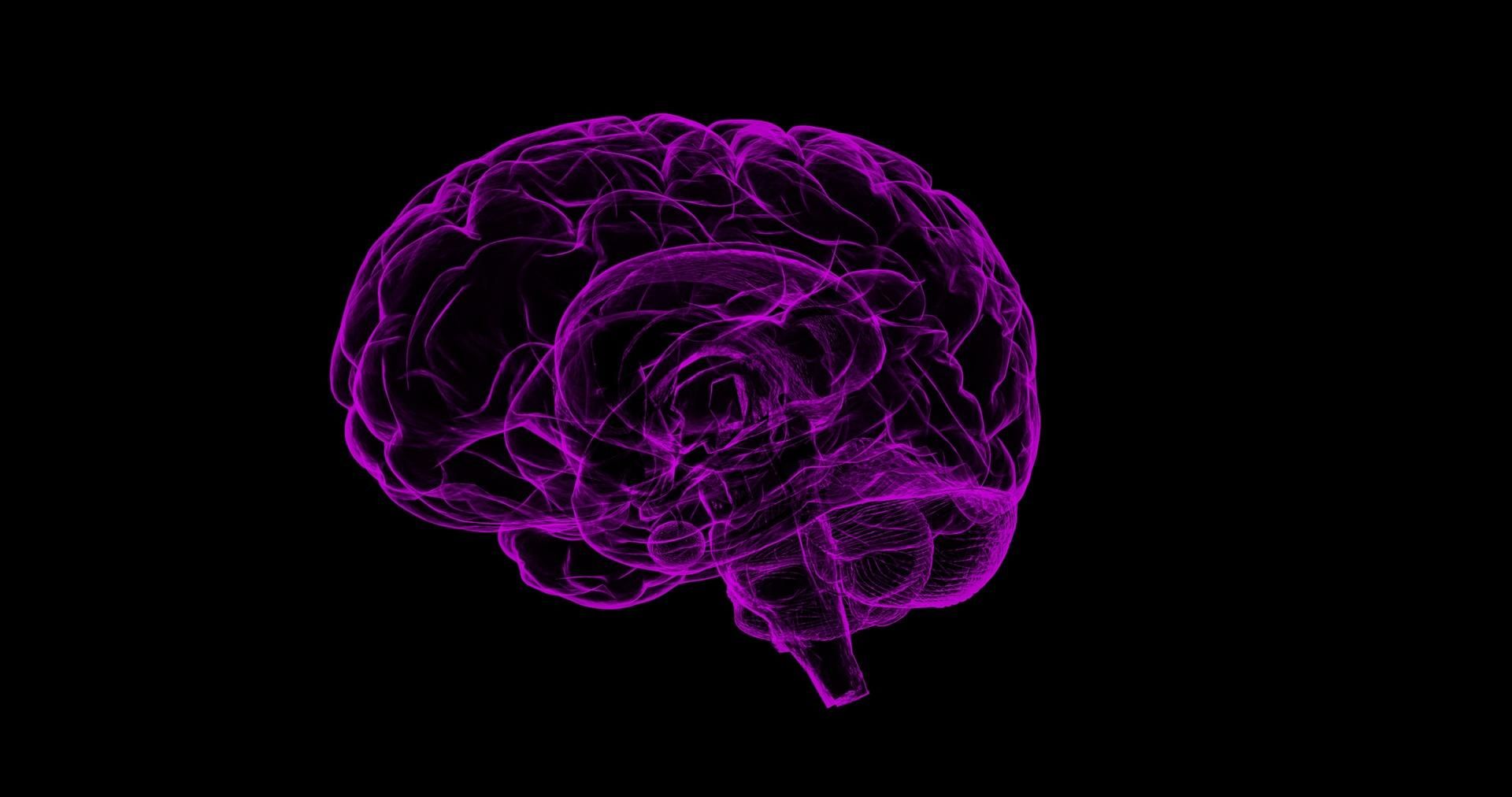 Опровергли популярный миф о мозге и нервной системе