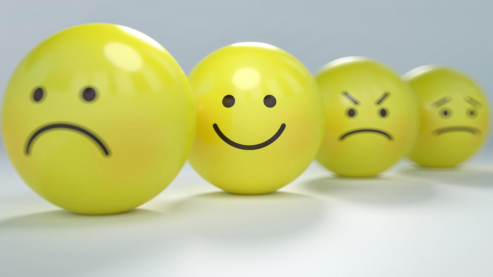 Что люди считают более действенным – эмоции или разумные аргументы