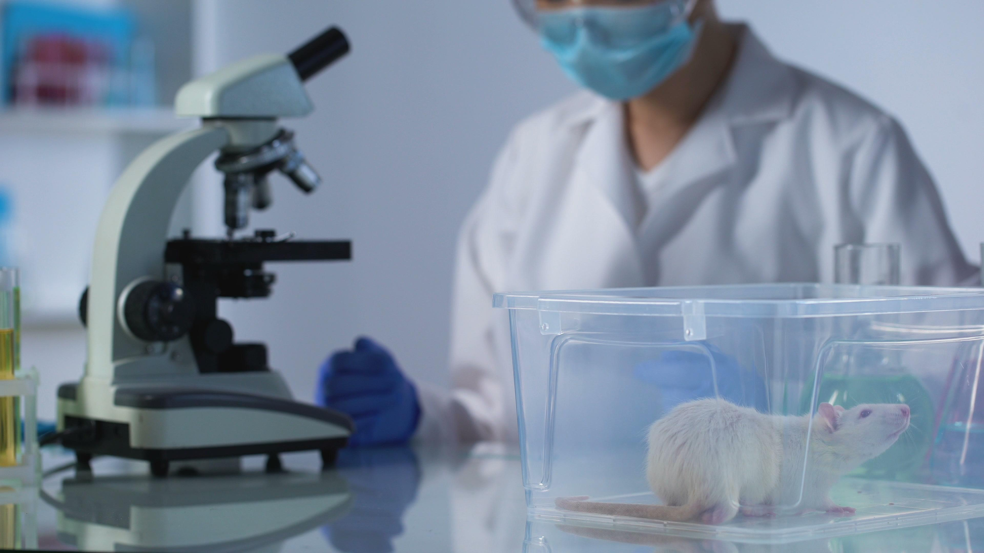 Как предупредить старение мозга