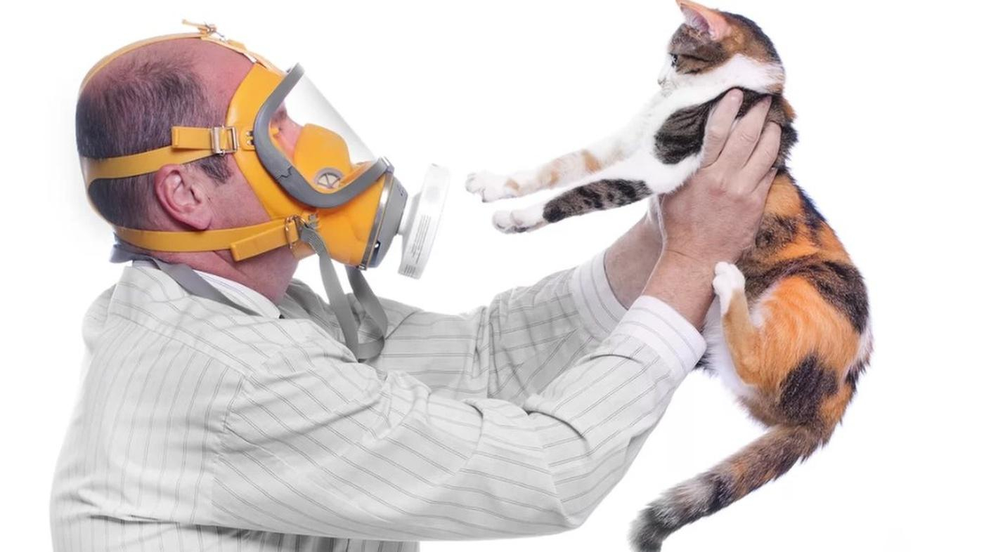 Советы аллергикам: как уменьшить симптомы заболевания