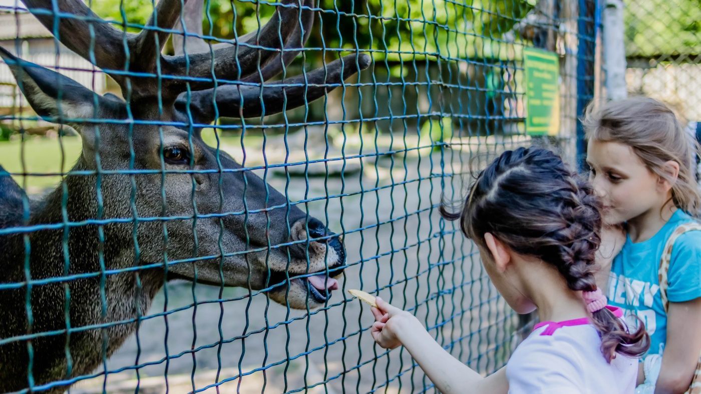 Гострі хвороби та укуси: Супрун пояснила небезпеку зоопарків