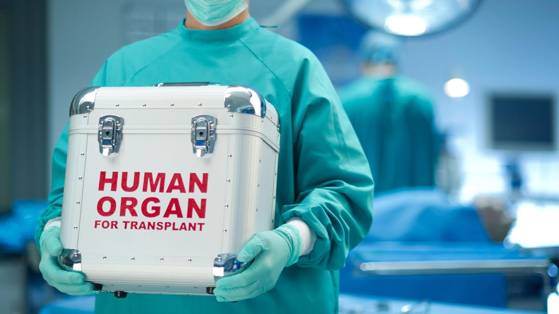Конец дефицита донорских органов: ученые смогли восстановить поврежденные легкие