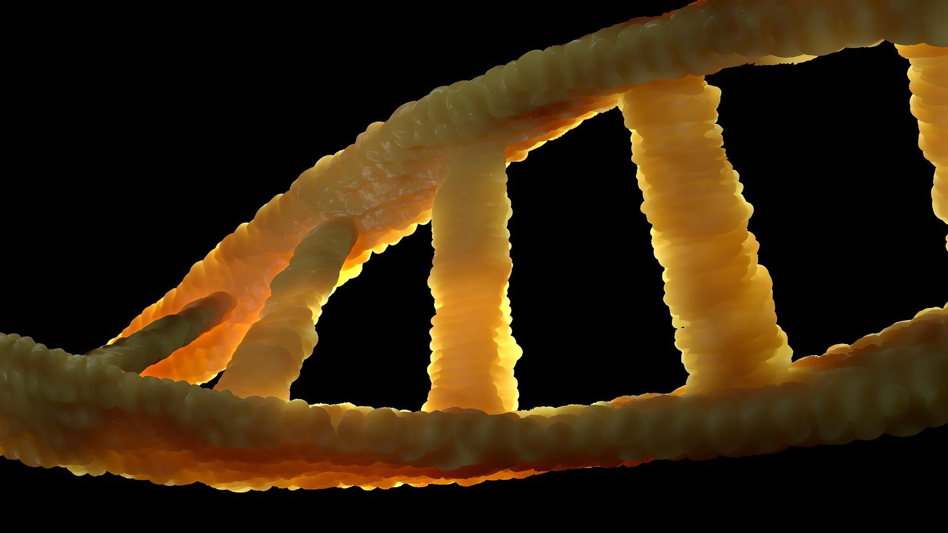 Як тест ДНК допомагає вилікувати хвороби