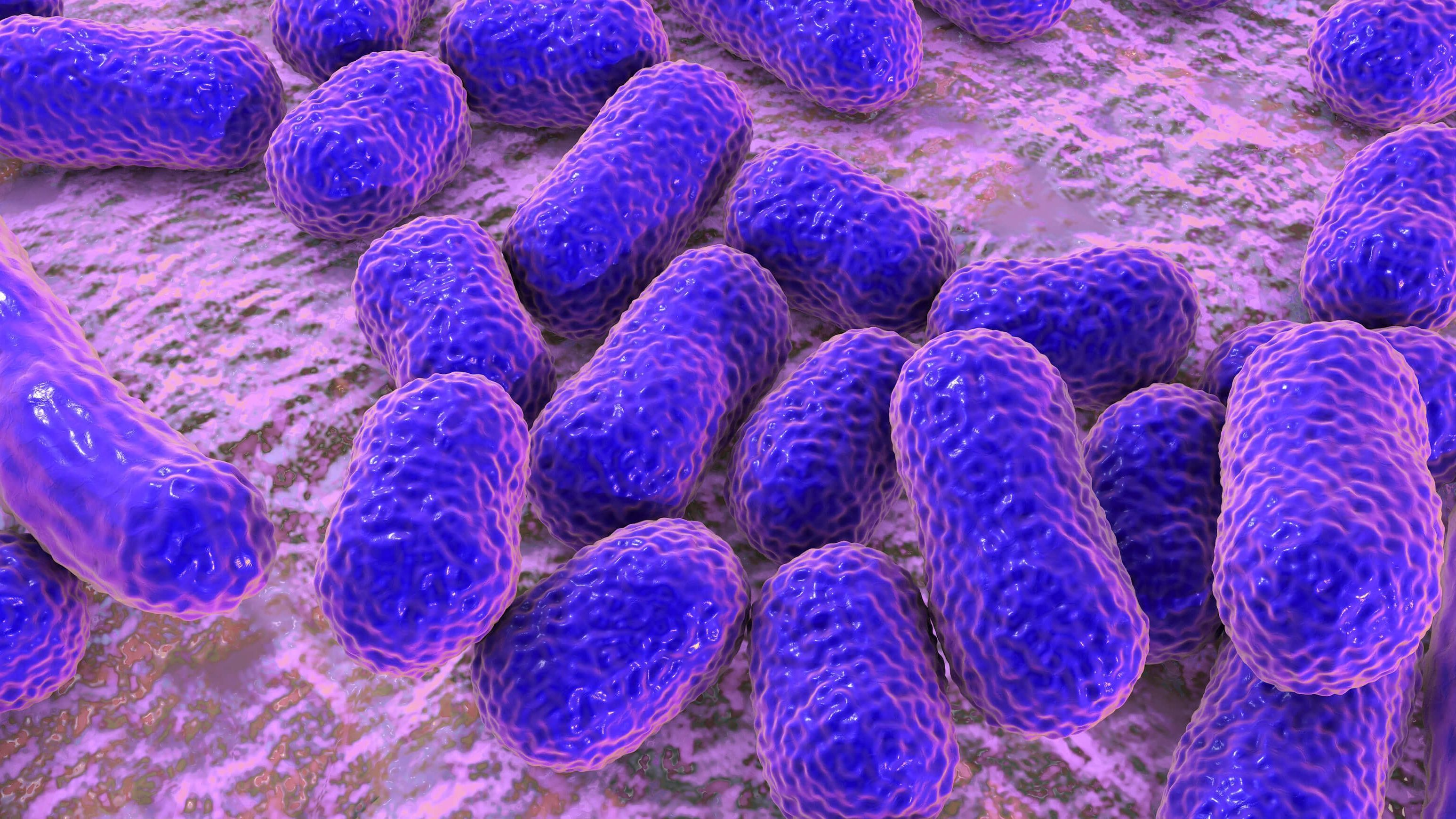 Нашли способ борьбы с устойчивыми бактериями Нашли способ борьбы с устойчивыми бактериями