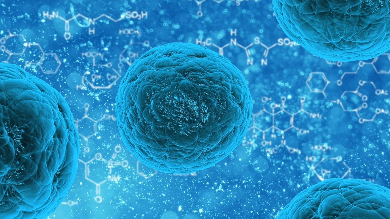 В организме человека нашли молекулу, которая поможет побороть рак