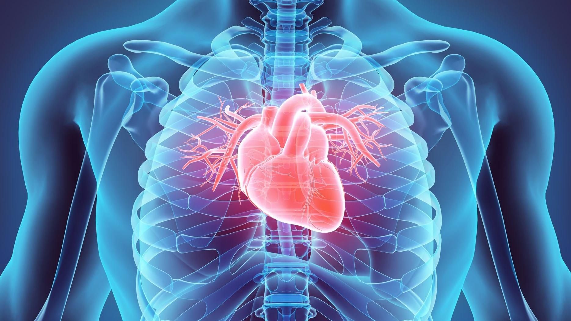 "Живий пластир": знайшли спосіб, який швидко відновить серце після нападу