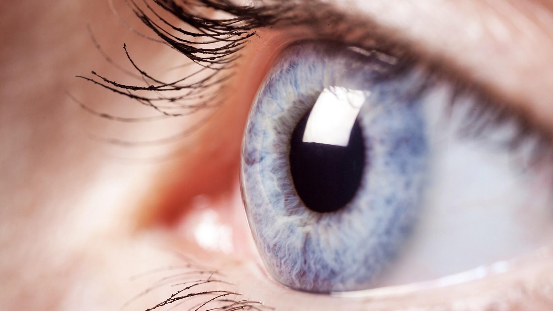 Вперше вдалося надрукувати рогівку ока на 3D принтері: фото Вперше вдалося надрукувати рогівку ока на 3D принтері: фото