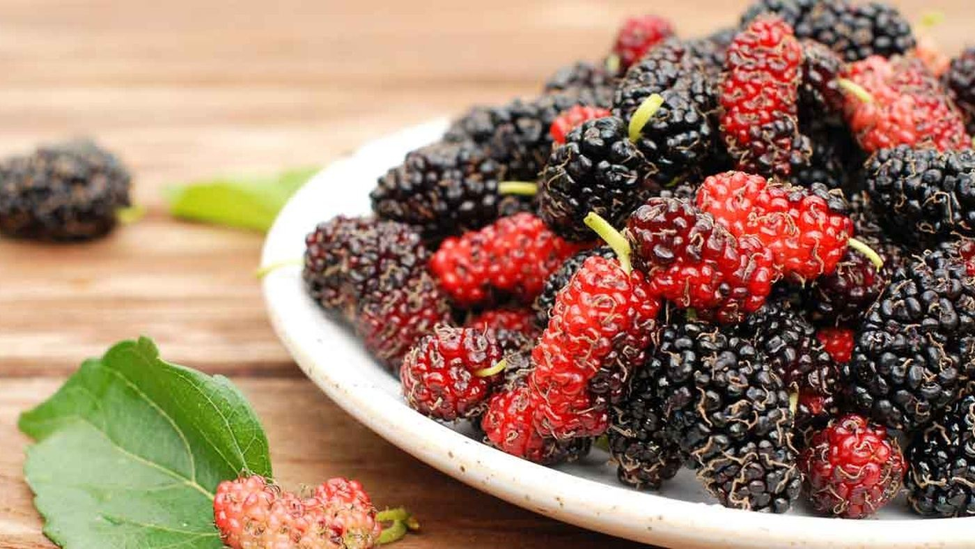 Модные суперфуды: Супрун рассказала о пользе летних ягод
