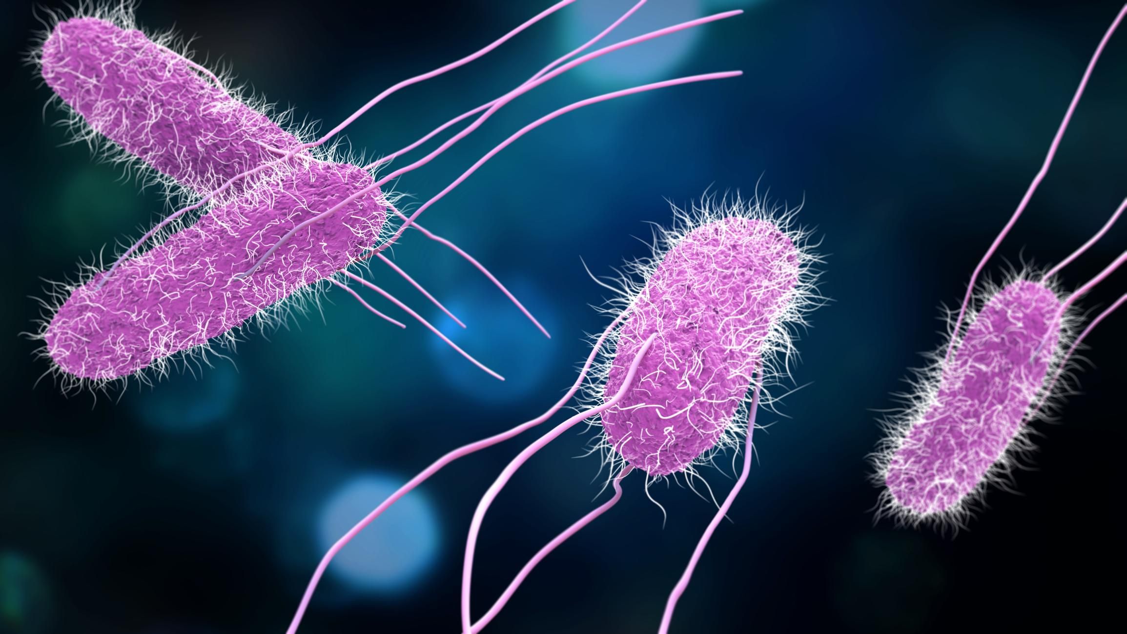 Знайшли смертельну супербактерію, на яку не діють антибіотики: чим це загрожує людству