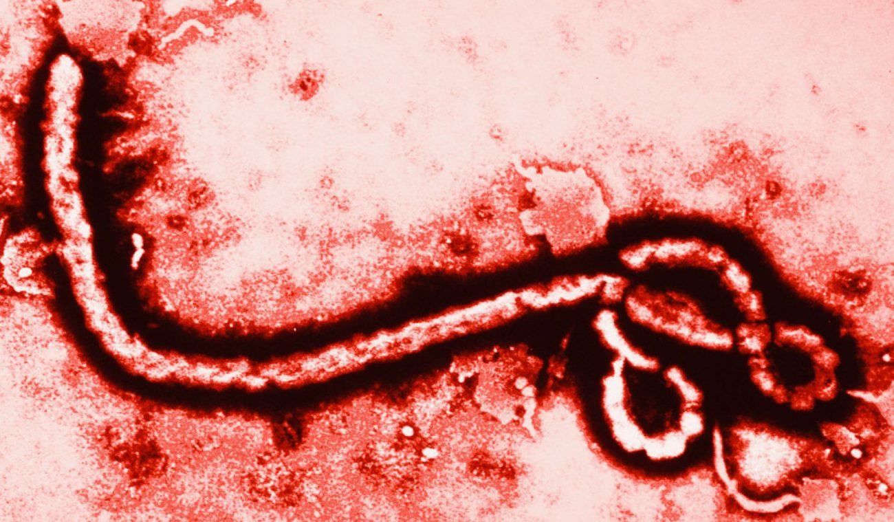 У Конго може початись нова масштабна епідемія еболи, – ВООЗ