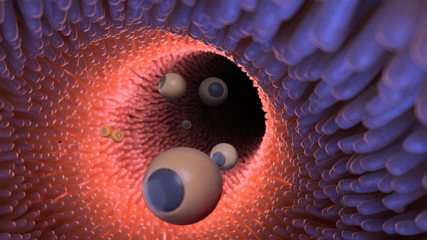 Створили роботів, які здатні лікувати ракові пухлини Створили роботів, які здатні лікувати ракові пухлини