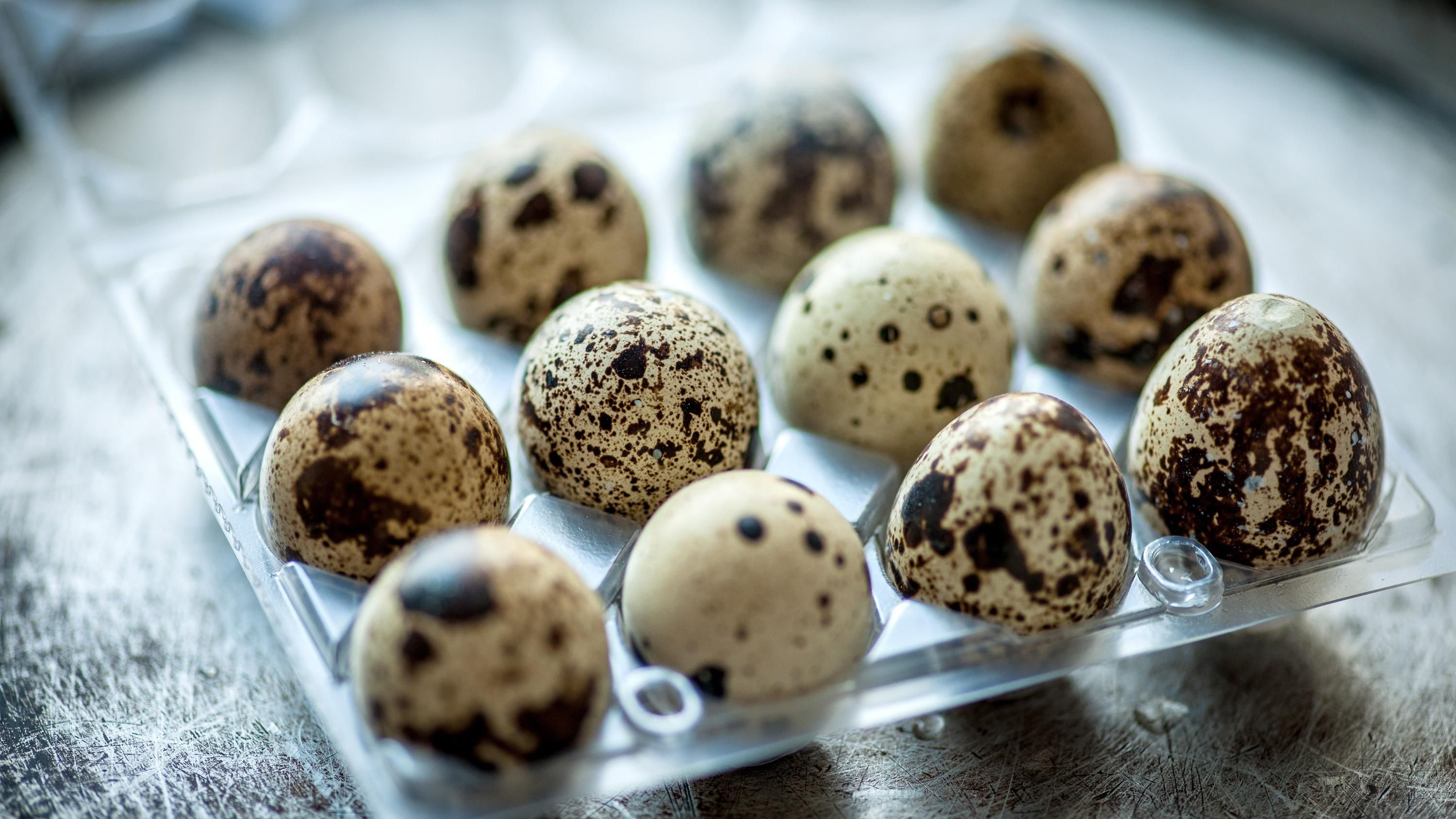 Перепелині яйця не корисніші за курячі: зруйнували міфи про популярні продукти