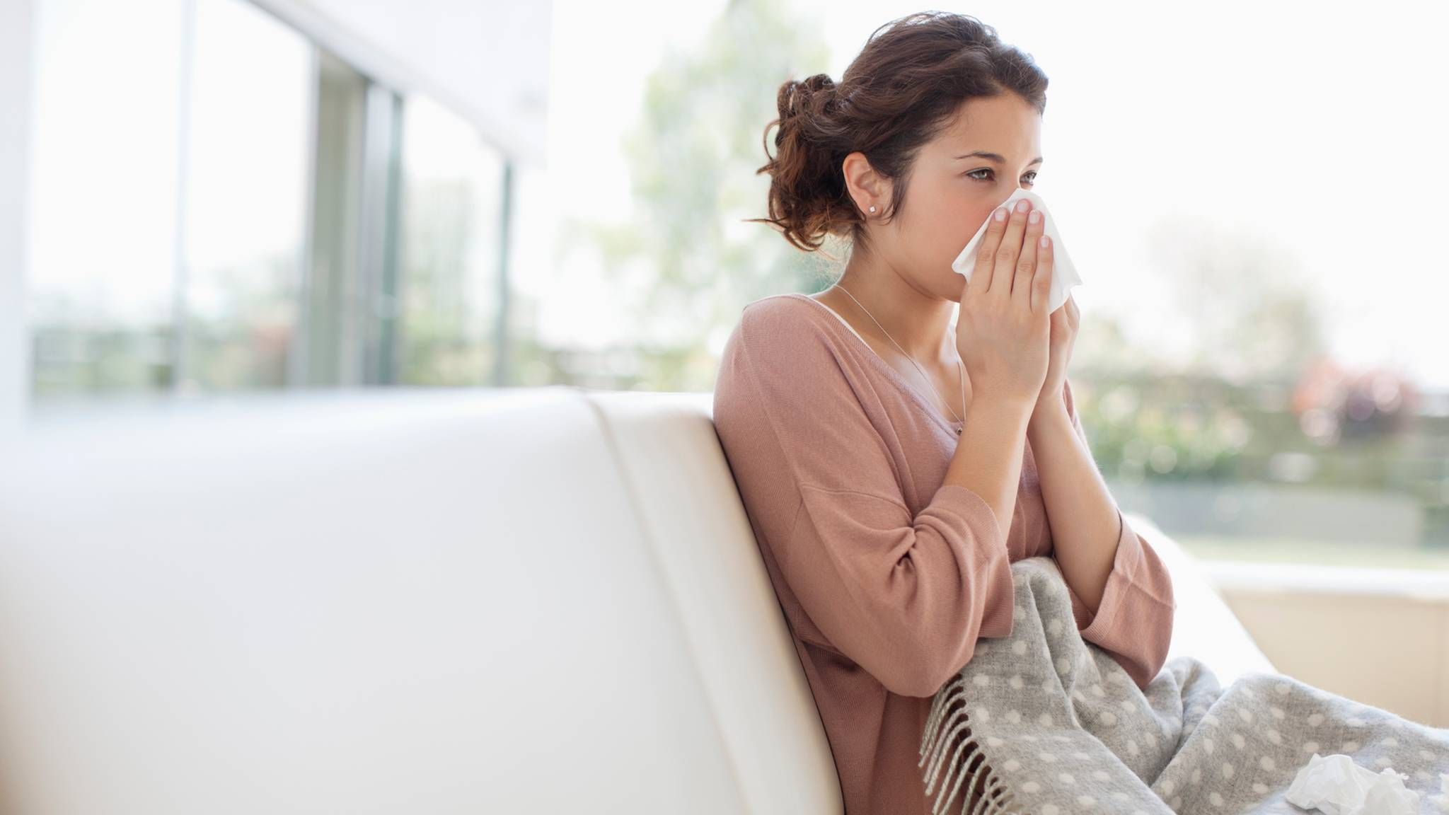 Аллергия на пыль и пылевые клещи – симптомы, что делать