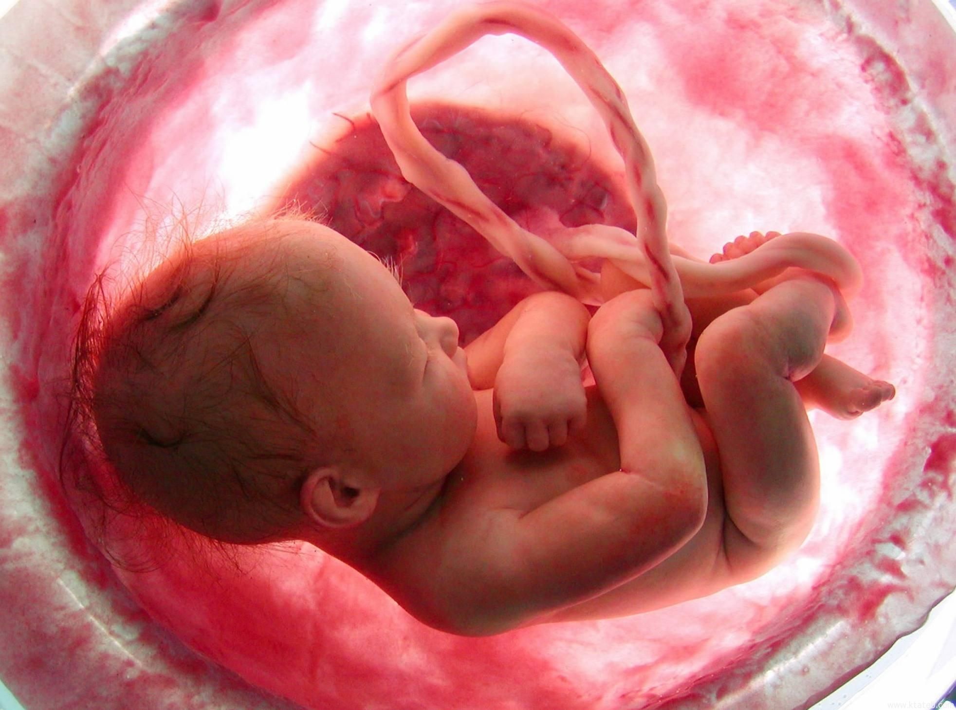 Чем опасна краснуха для беременных - Новости здоровья - Здоровье 24