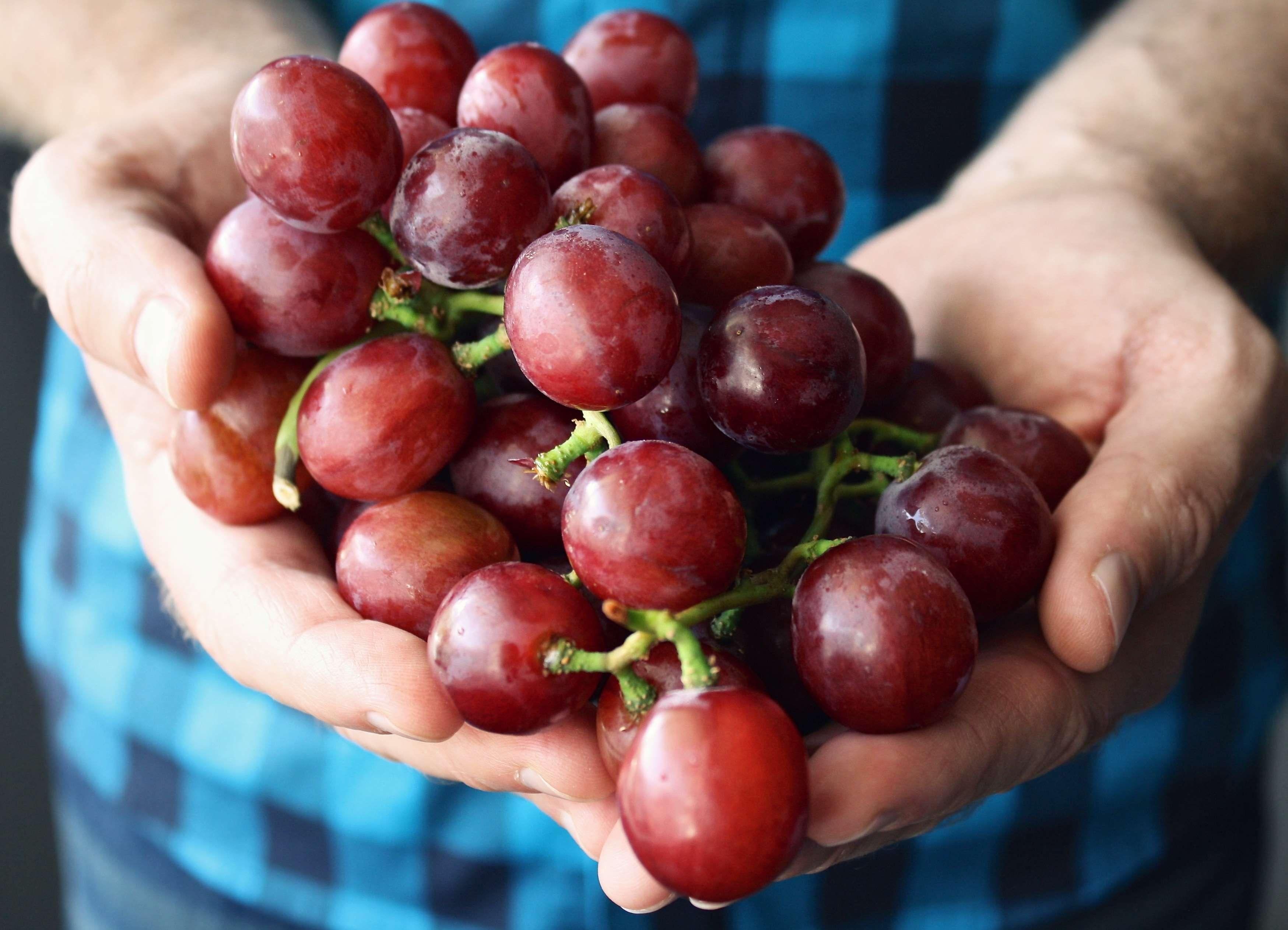 Чим корисний виноград – вітаміни в винограді і корисні властивості