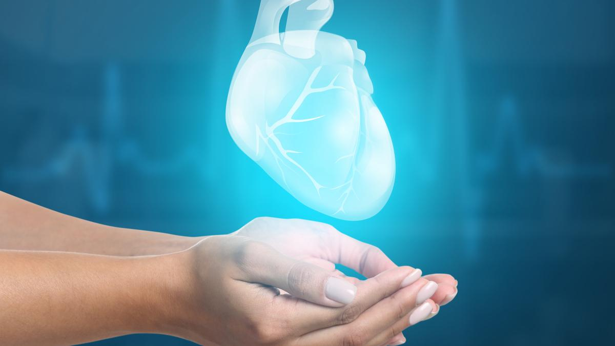 Сколько жизней может спасти один донор