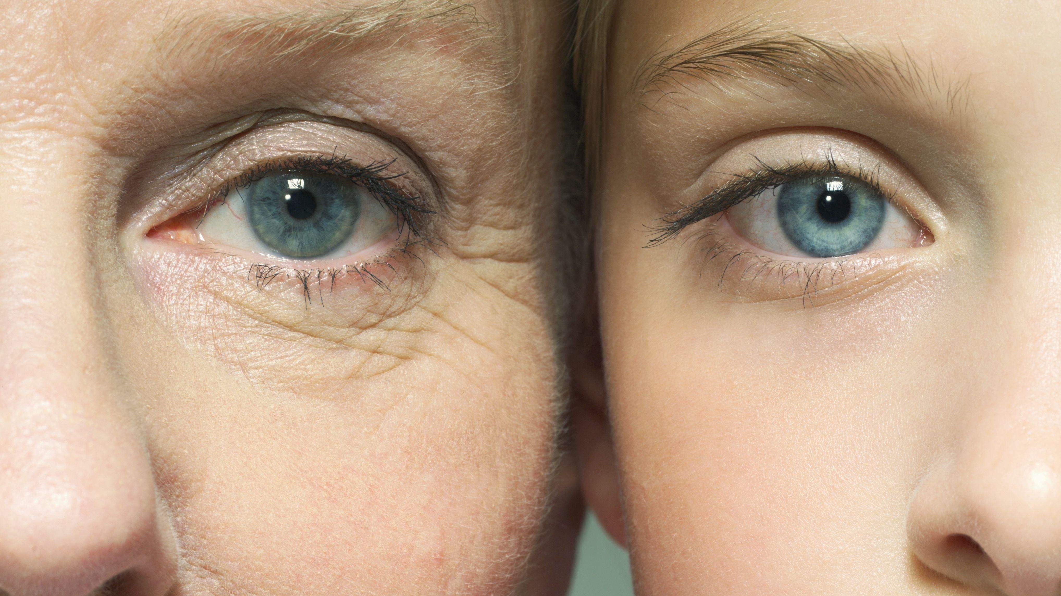 Вперше змогли омолодити організм людини на 2,5 роки Вперше змогли омолодити організм людини на 2,5 роки