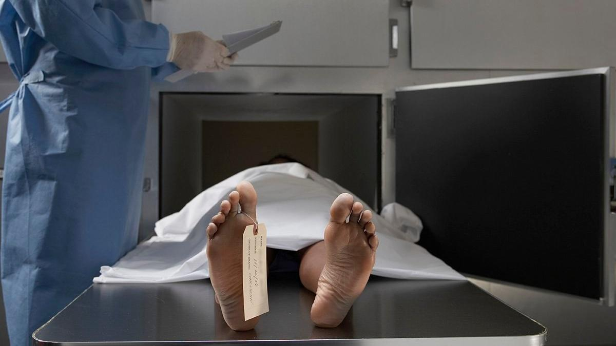 Тело человека может двигаться после смерти: детали исследования