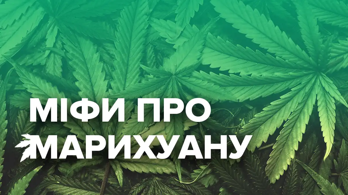 Курят в болгарии марихуану лекарство от курения конопли