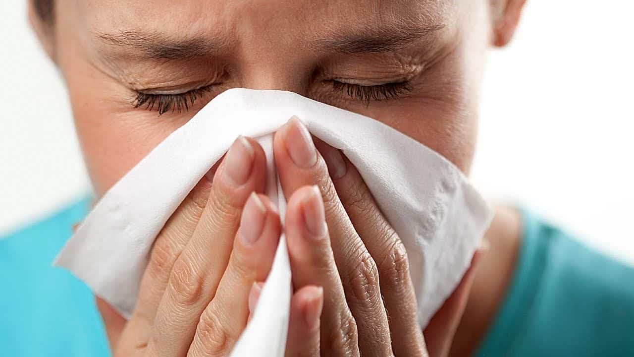 Нежить чи алергія: як відрізнити 
