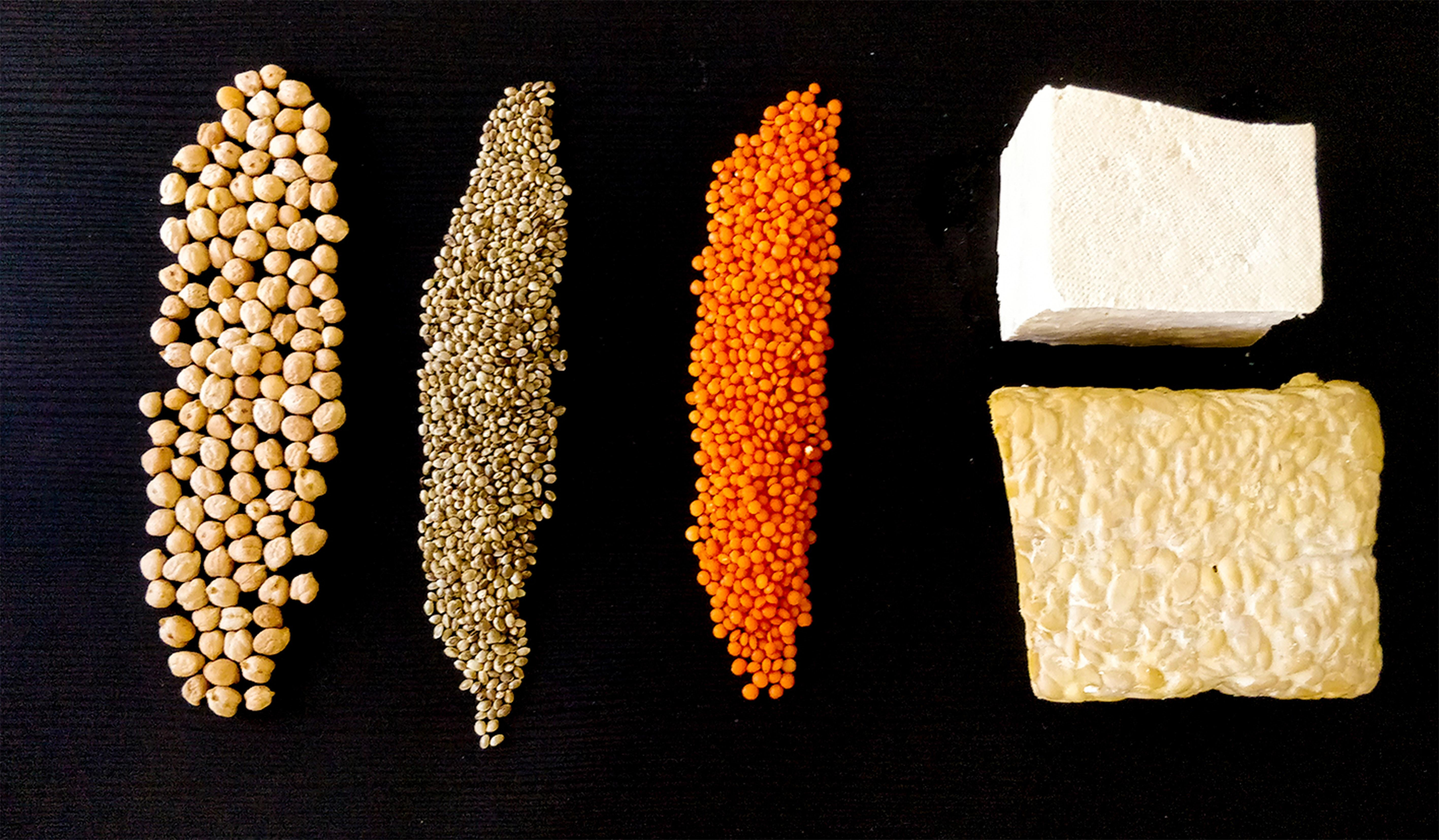 Протеин – польза и вред для организма