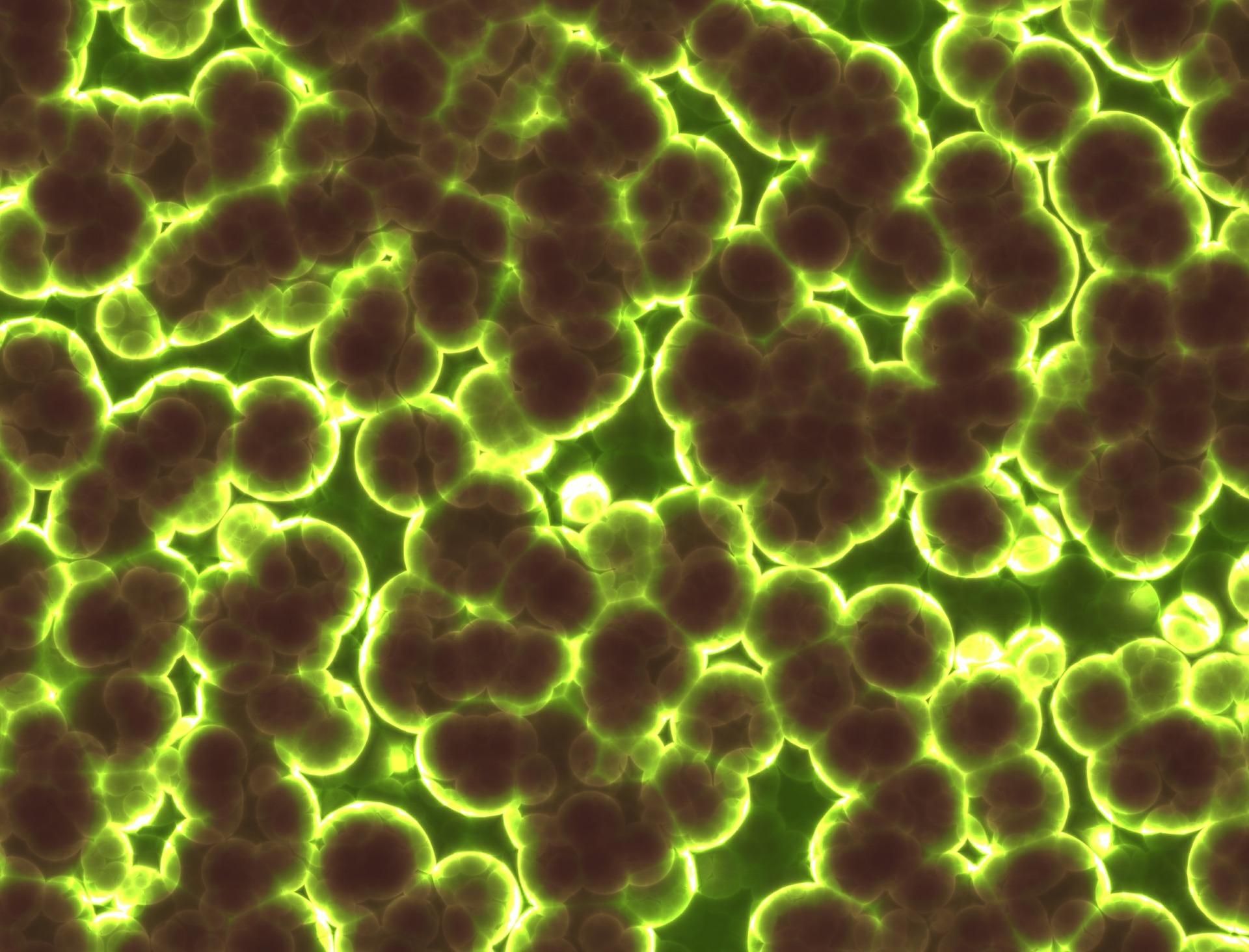 Вчені створили бактерію, яка виробляє галюциноген: для чого це потрібно 