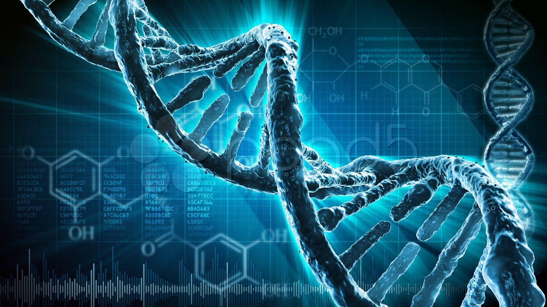 Що ще можуть передати гени: цікаві факти, про які ви могли не знати