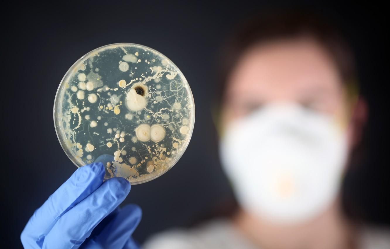 Бактерии становятся устойчивыми к антибиотикам – исследование