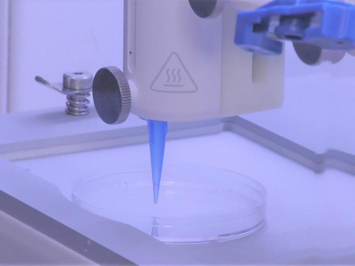 На 3D принтері вперше надрукували людську шкіру з судинами