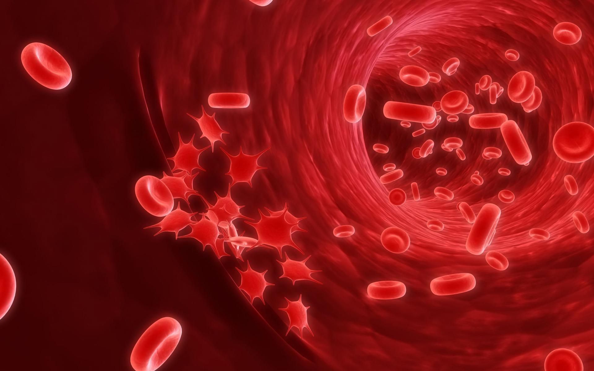 Нашли способ очистить кровь от раковых клеток