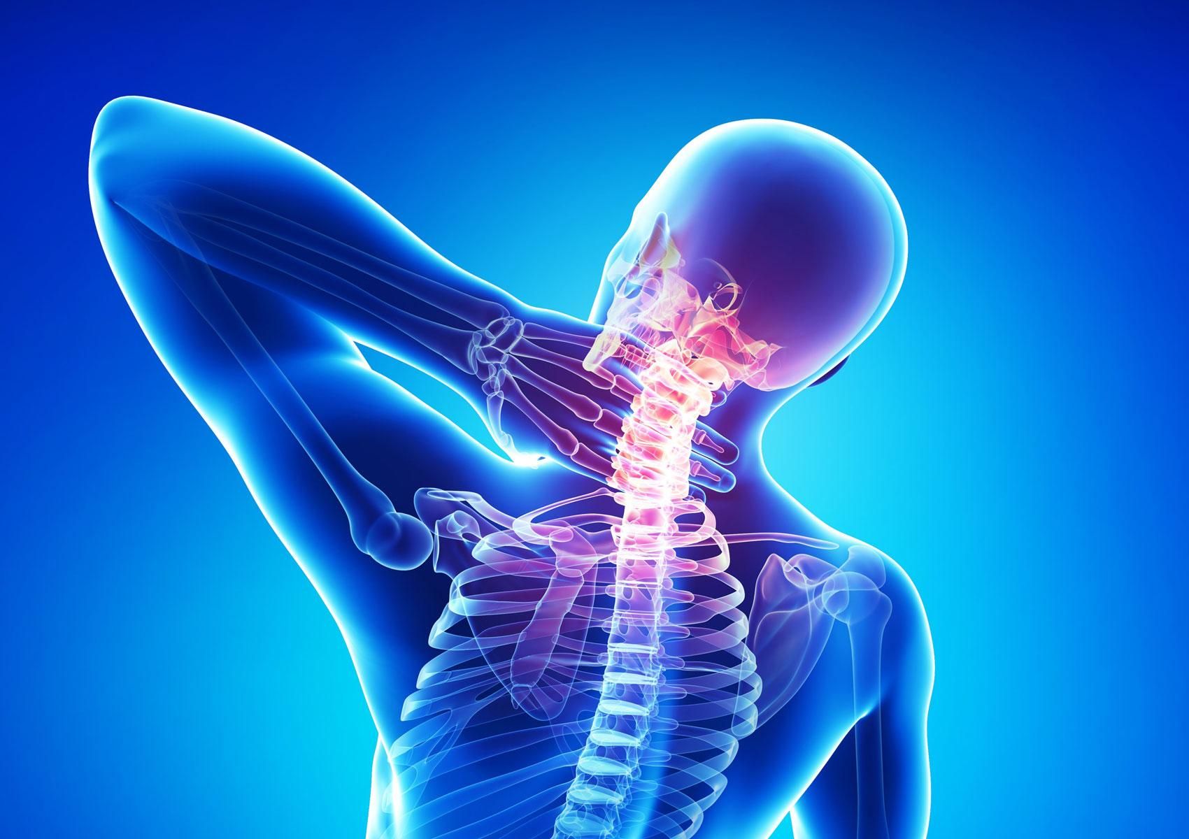 Почему возникает остеопороз: ученые сообщили механизм износа кости