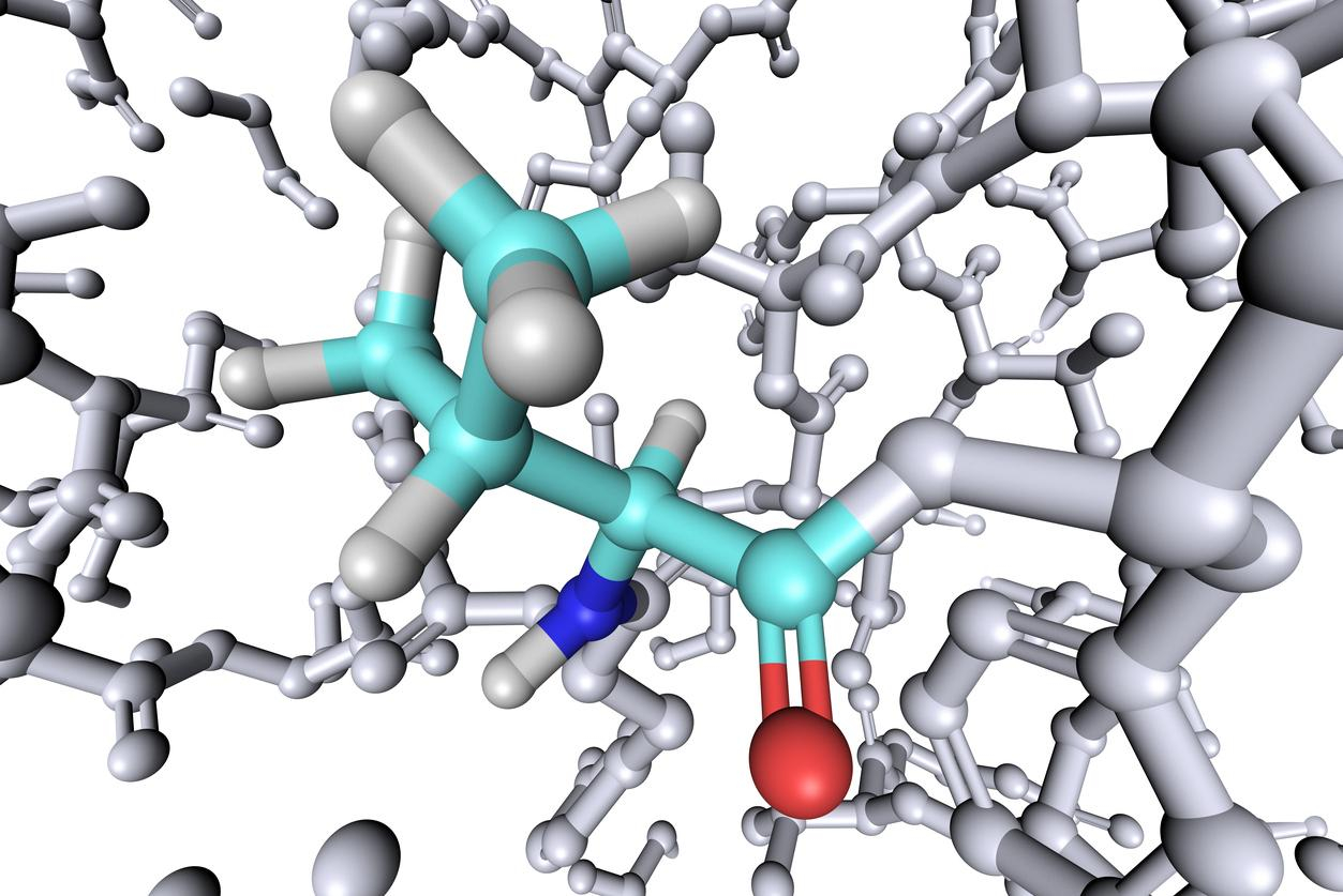 Обнаружили новый белок, который отвечает за ожирение
