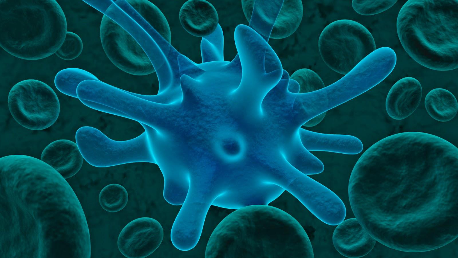 Как бактерии "переходят" к человеку: исследовали механизм