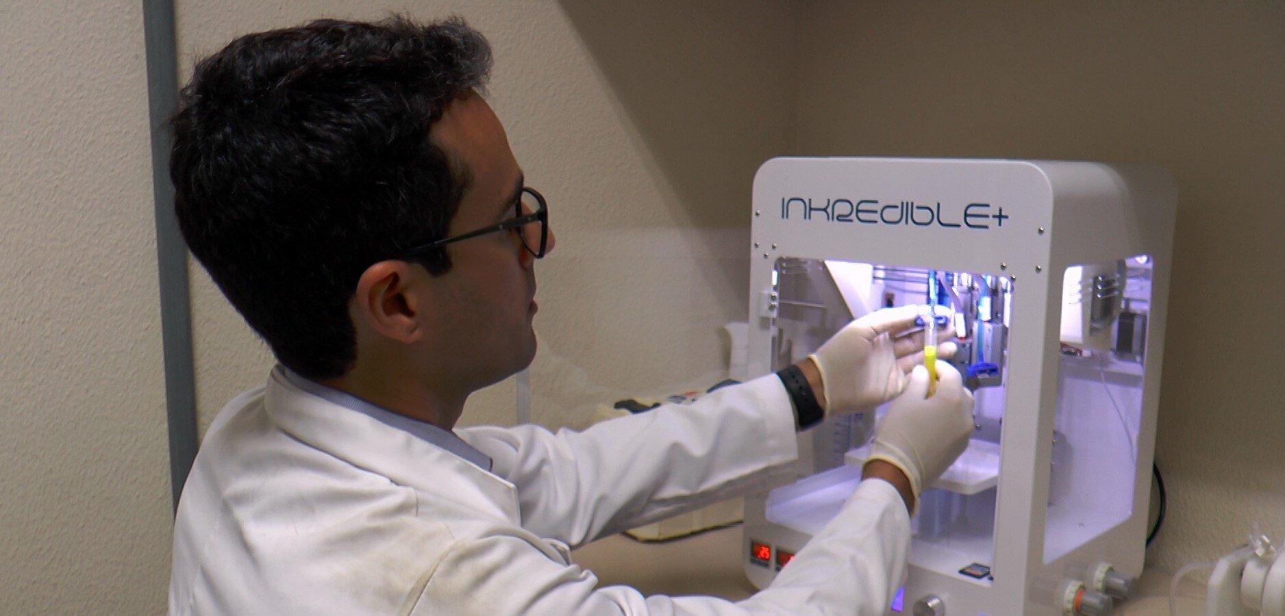 Из клеток крови удалось вырастить печень