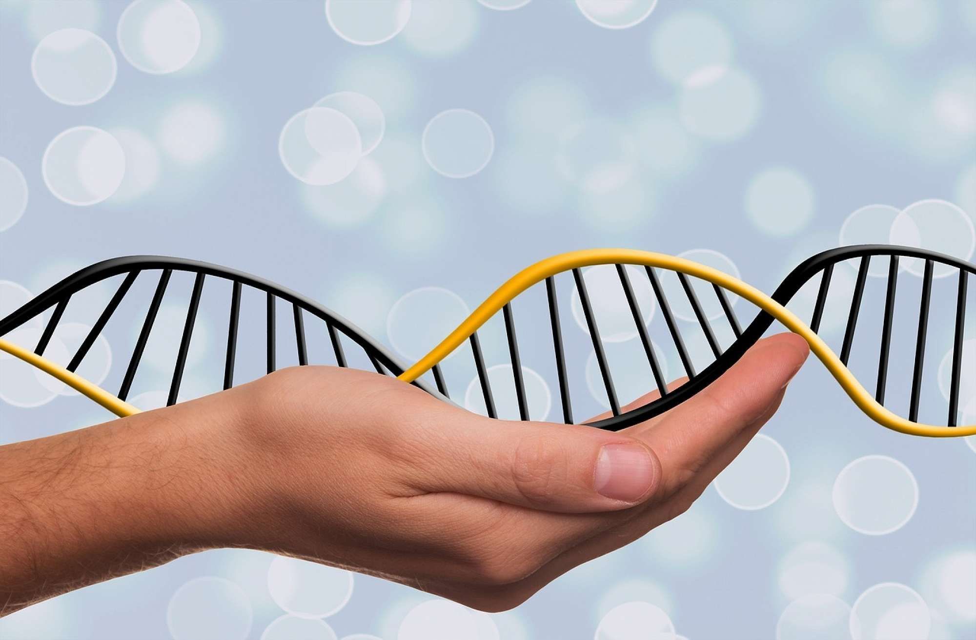Насколько генетика определяет наши болезни: ученые