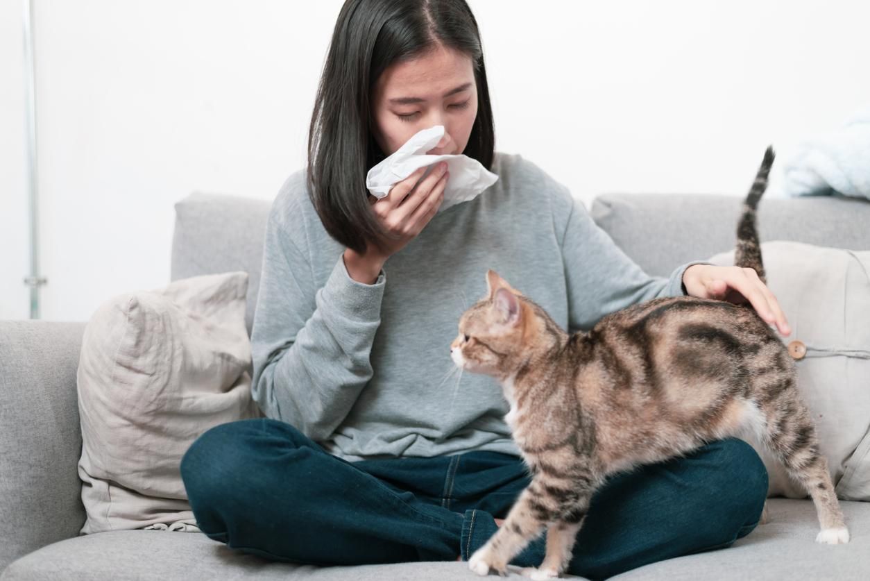 Аллергия на домашних животных – причины, симптомы – что делать
