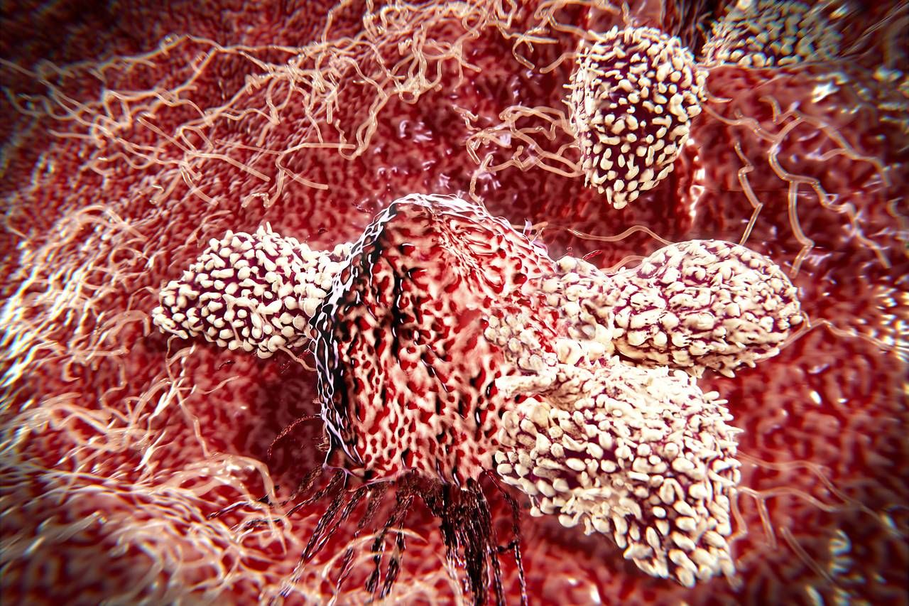 Обнаружили клетки, которые способны лечить все виды рака