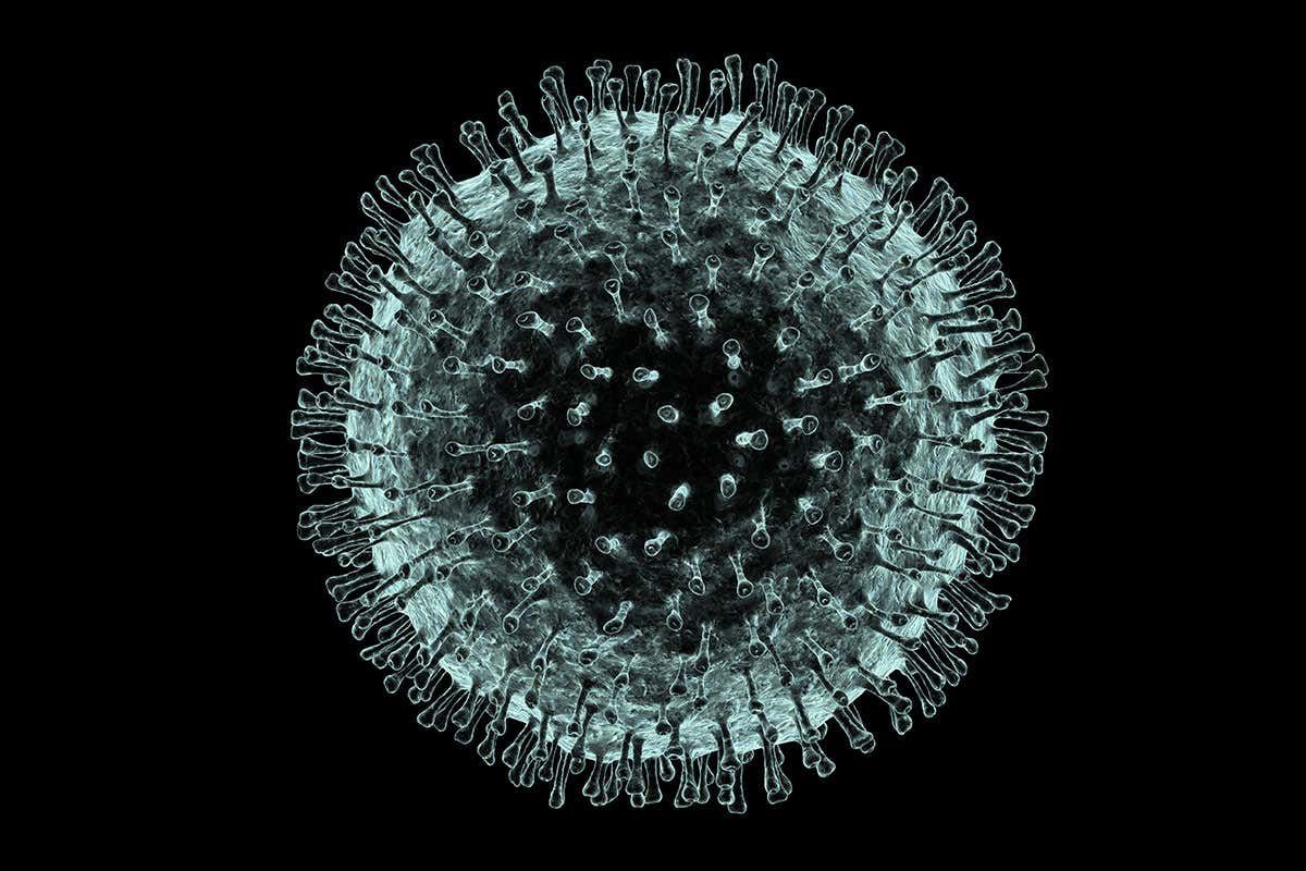 Що таке коронавіруси та що про них відомо