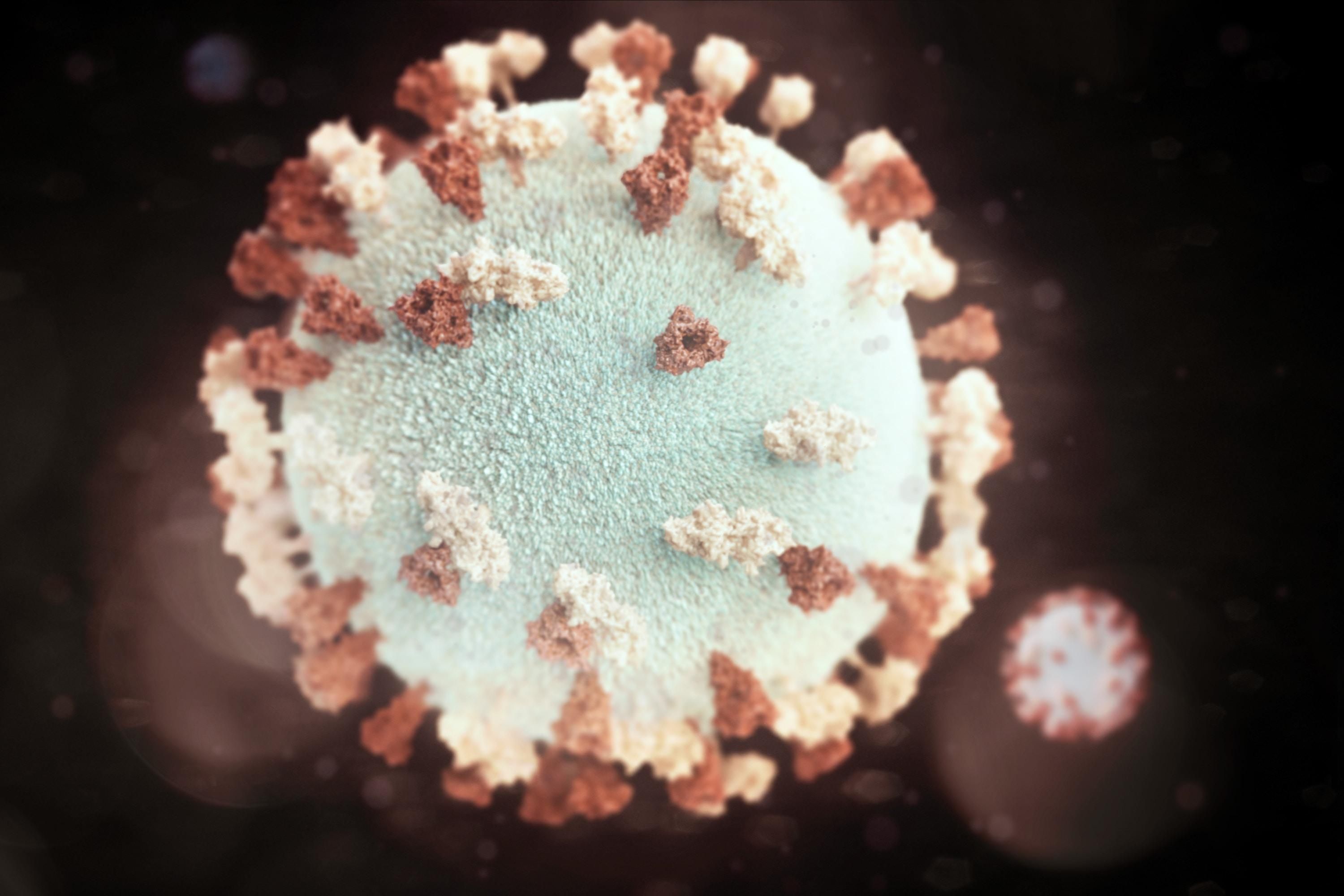 Как отличить грипп от коронавируса – симптомы, различия 