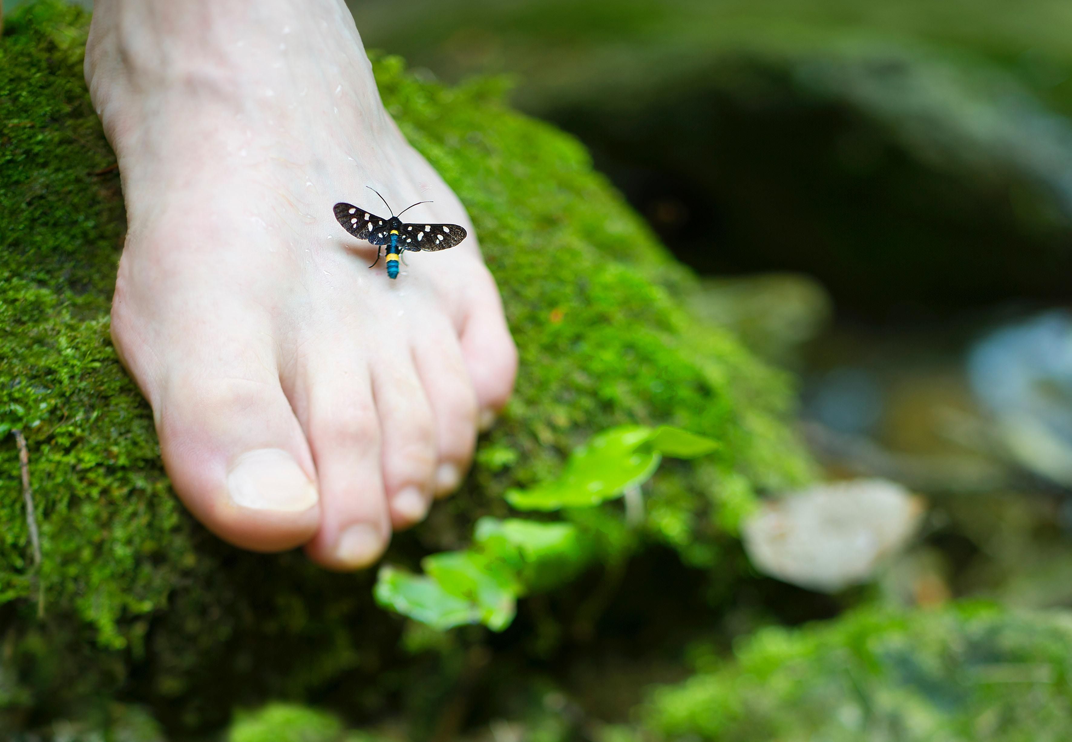 Грибок на ногах – как не подцепить, симптомы, лечение грибка стопы 