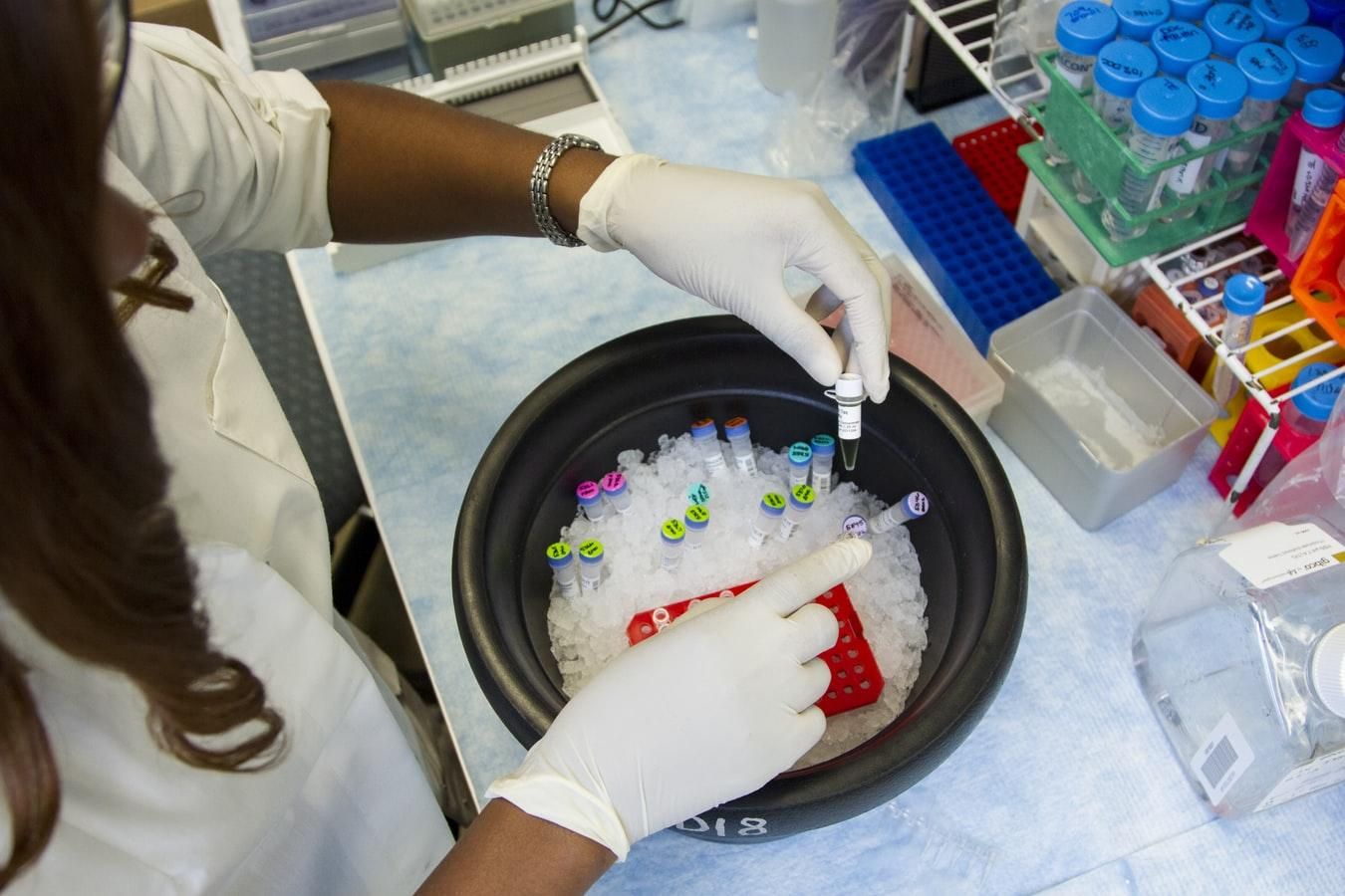 Універсальна вакцина проти усіх вірусів реальна: знайшли новий білок