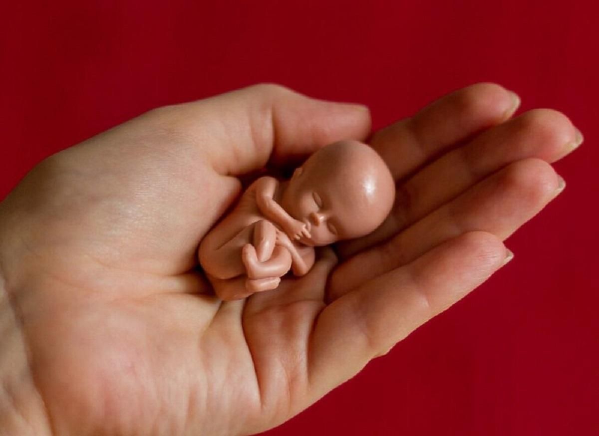 У Новій Зеландії легалізували аборт