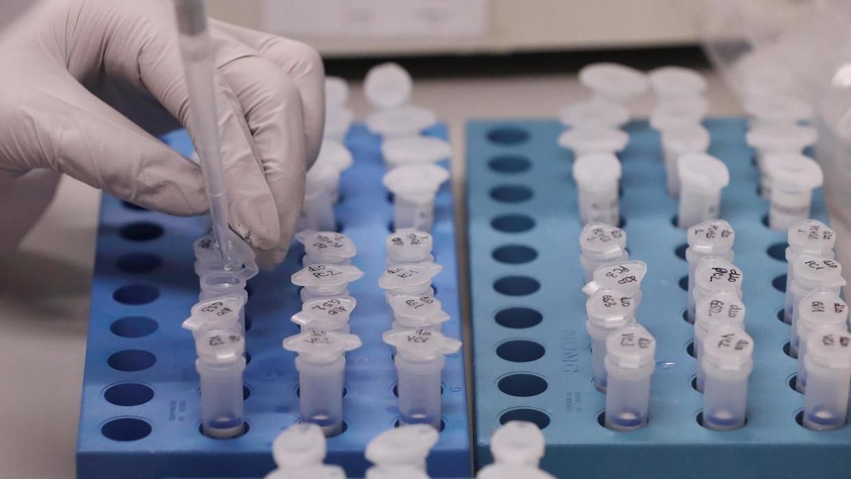 На Закарпатті тести показали коронавірус у 19 людей: чому потрібно обстежити ще 5 тисяч