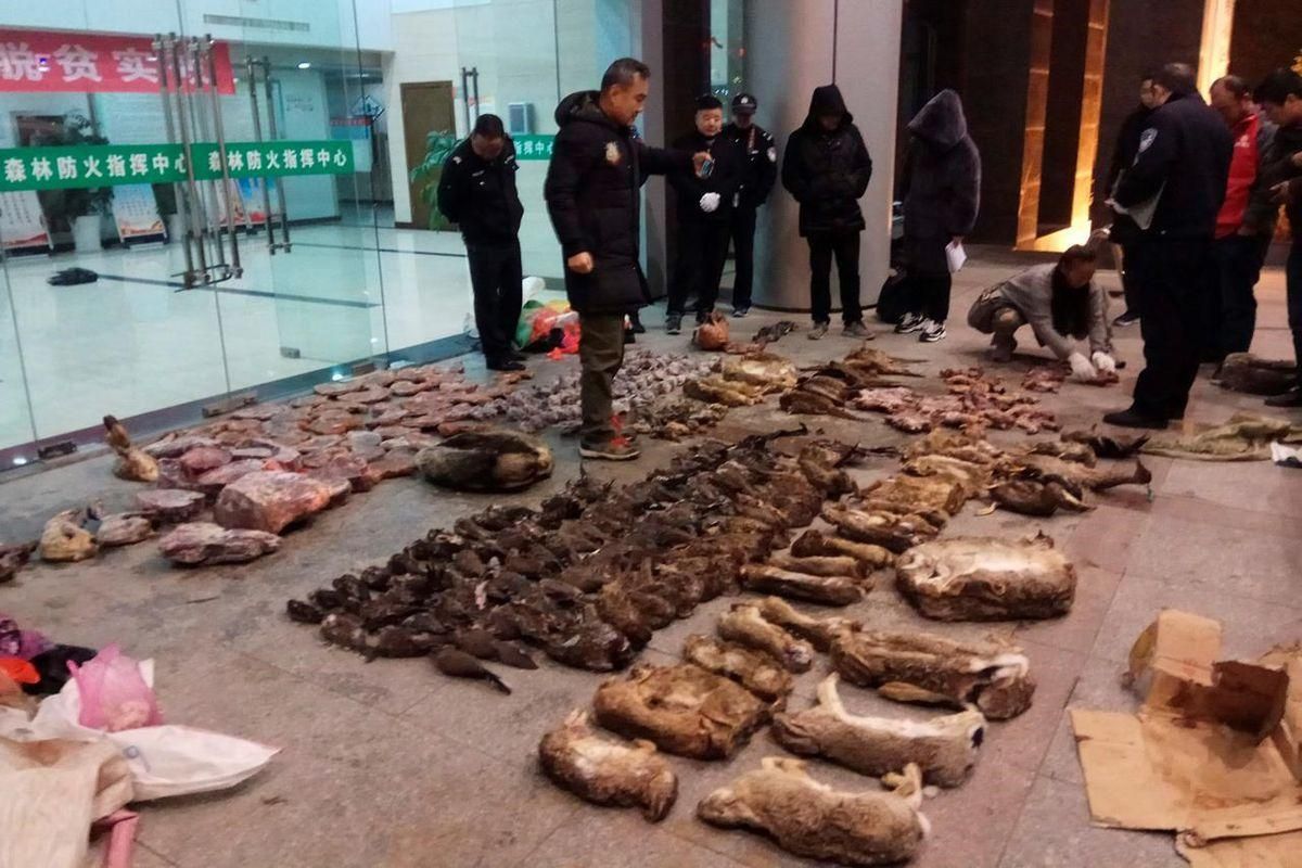 В Китае снова заработали рынки, где продают диких животных для еды: фото