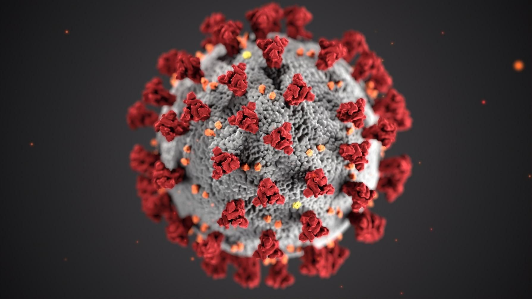 У НАН назвали дати, коли варто чекати на пік коронавірусу в Україні